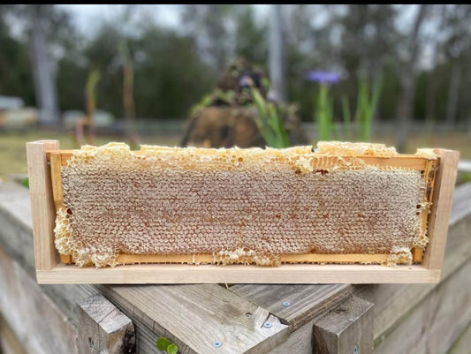 HoneyComb